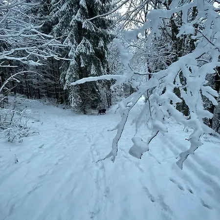 Chalet Cosy En Pleine Nature Proche Gérardmer *