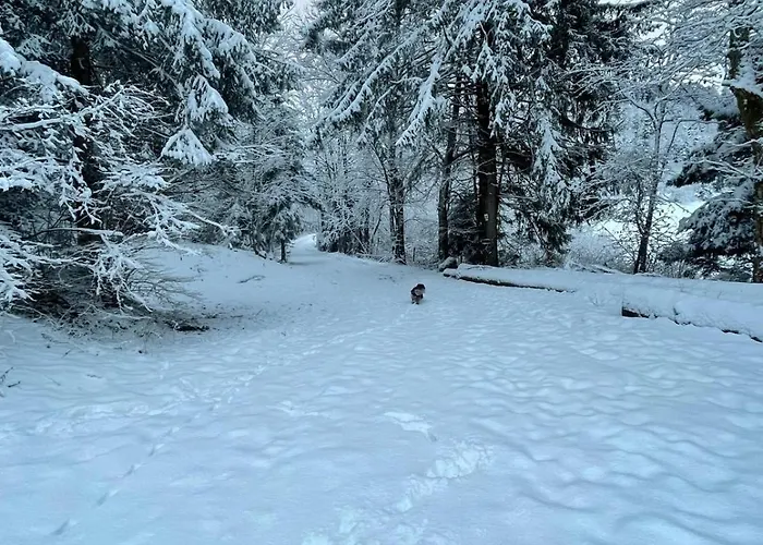 Cosy En Pleine Nature Proche Gerardmer Horská chata Gerbépal