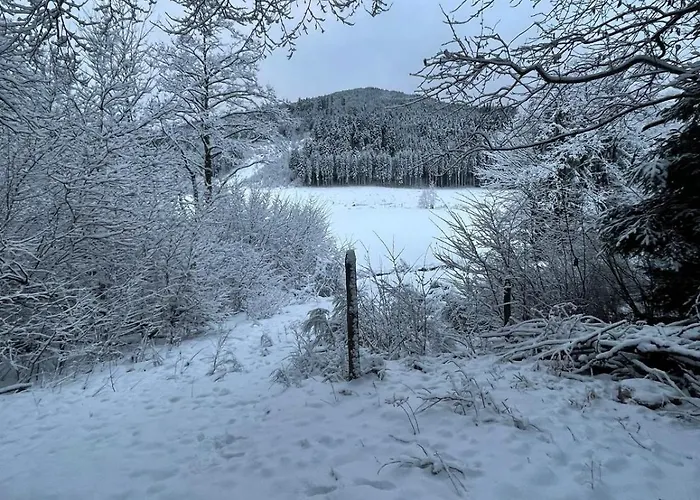 Cosy En Pleine Nature Proche Gerardmer Horská chata