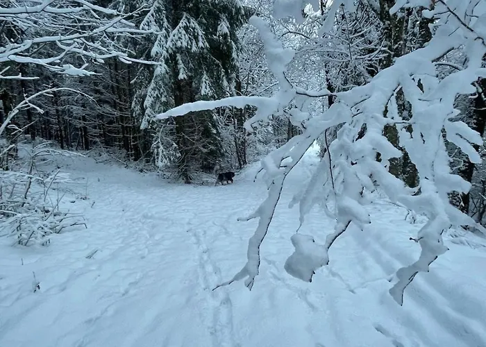Horská chata Cosy En Pleine Nature Proche Gerardmer *